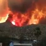 More Brits feared dead trying to flee devastating Los Gallardos wildfire as 12 perish