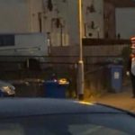 Cops issue statement after Cat in the Hat-like character pictured terrorising streets